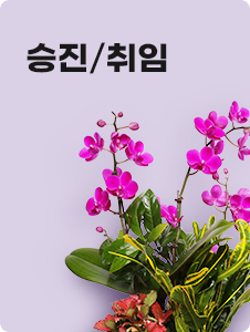 승진/취임