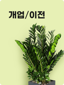 개업/이전